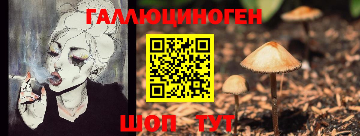 Псилоцибиновые грибы MAGIC MUSHROOMS  Галлюциногенные грибы Psilocybine cubensis  Вход с VPN  Добрянка 